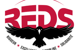 Montreuil REDS Natation